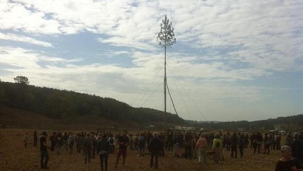 Forêt déboisée du Testet, le 25 octobre 2014