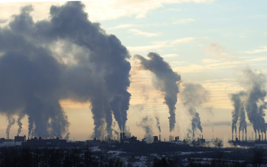 Climat – L’affaire du “Sarko-qui-nie”